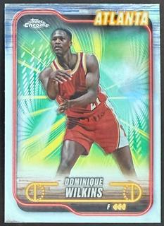 Dominique Wilkins