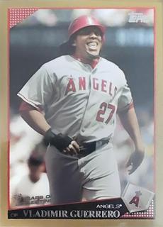 Vladimir Guerrero