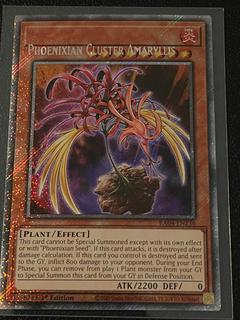 Phoenixian Cluster Amaryllis RA04-EN136
