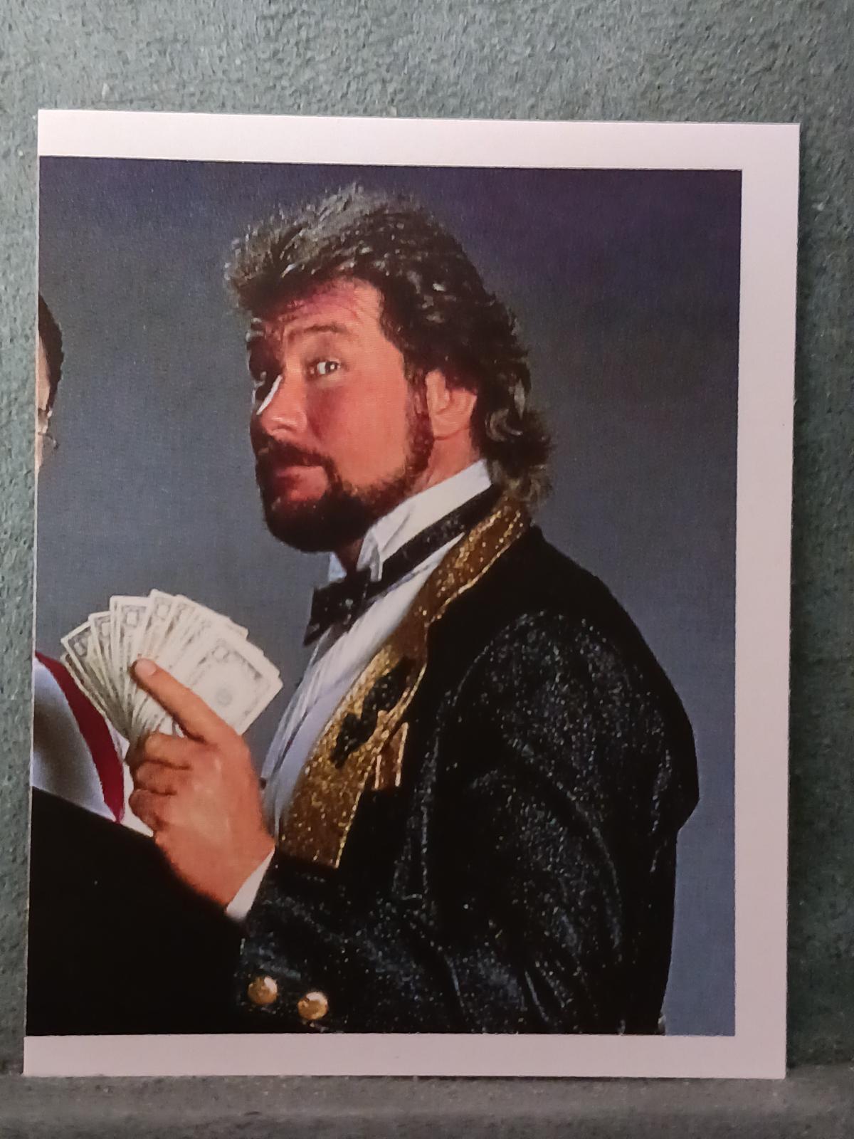 Money Inc. #27 Wrestling Cards 1992 Merlin WWF Stickers