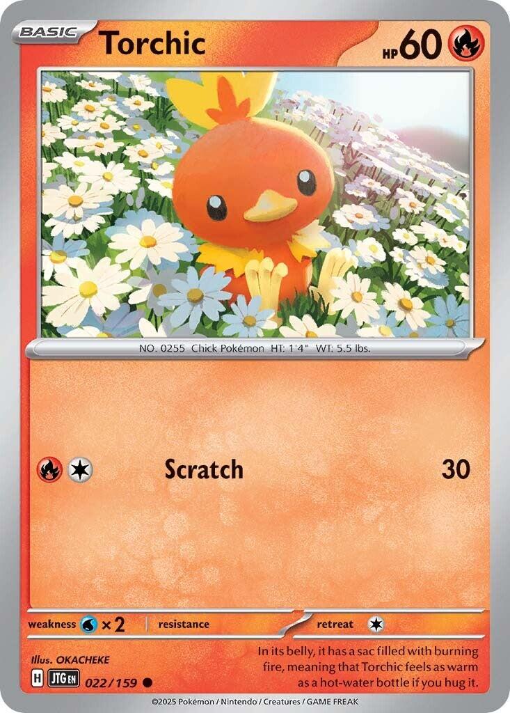 Torchic #22 Pokemon Journey Together