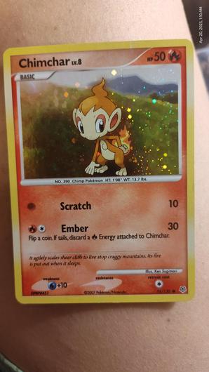 Chimchar #76 photo