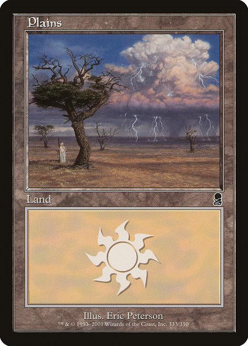 Plains #333 Magic Odyssey