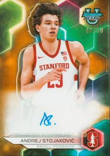 Andrej Stojakovic