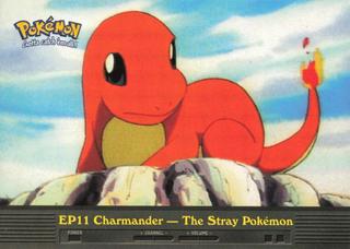 Charmander-the Stray Pokemon