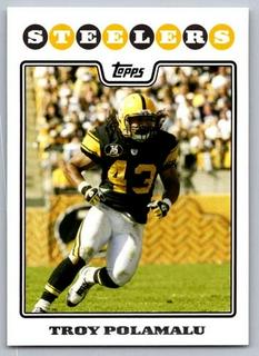 Troy Polamalu
