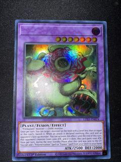 Predaplant Chimerafflesia LDS3-EN074