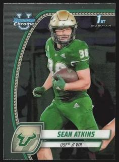 Sean Atkins