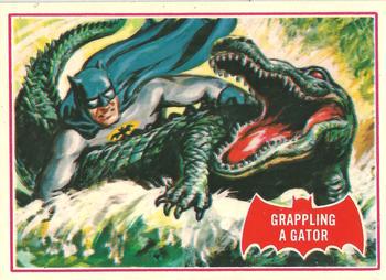 1989 Grappling a Gator #2A