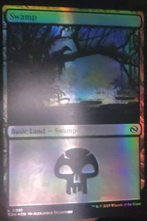 Swamp