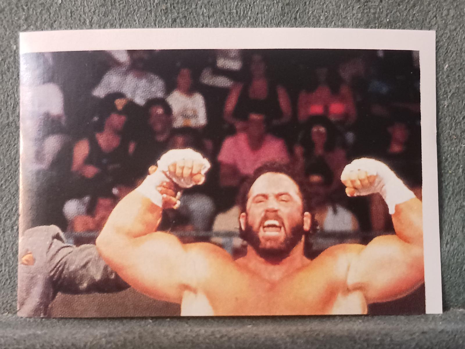 Power & Glory #41 Wrestling Cards 1991 WWF Superstars Stickers