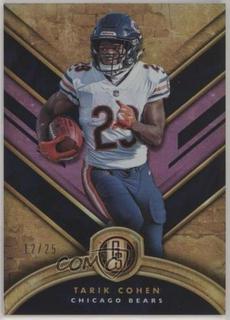 Tarik Cohen