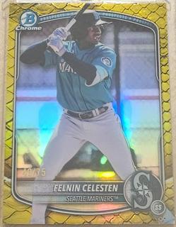 Felnin Celesten