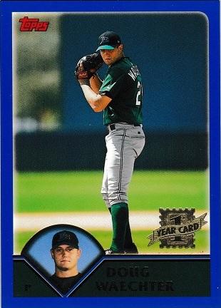 Doug Waechter #317 Baseball Cards 2003 Topps