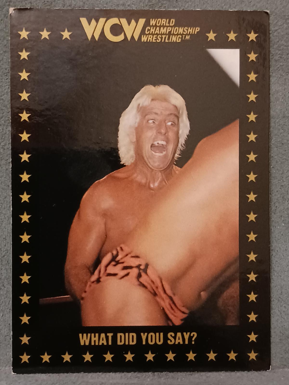 What Did You Say? #47 Wrestling Cards 1991 Championship Marketing WCW