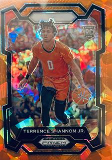 Terrence Shannon Jr.