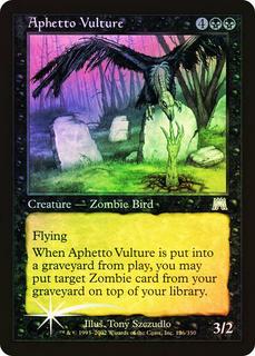 Aphetto Vulture