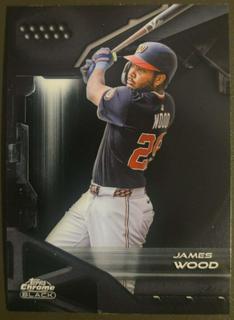James Wood
