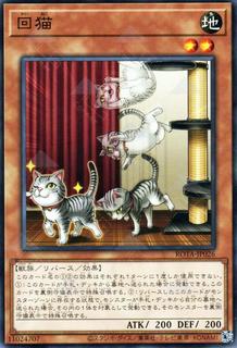 Flipping Feline ROTA-JP026