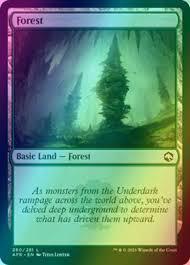 Forest