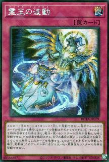 Dominus Impulse ROTA-JP079