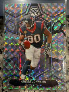 Andre Johnson