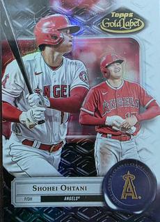 Shohei Ohtani