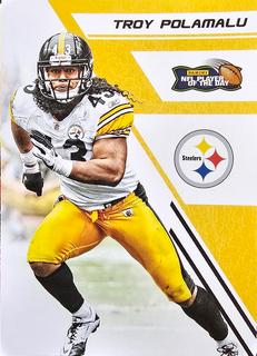 Troy Polamalu