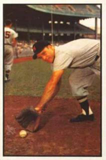 Eddie Yost