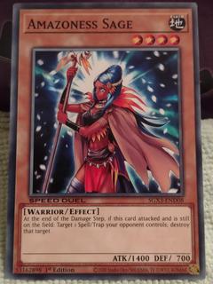 Amazoness Sage SGX3-END08