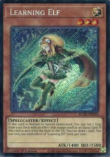 Learning Elf BLGG-EN026