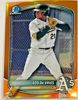 Leo De Vries