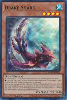 Drake Shark ROTA-EN002