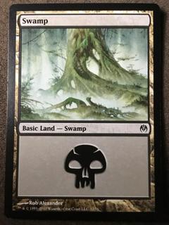 Swamp