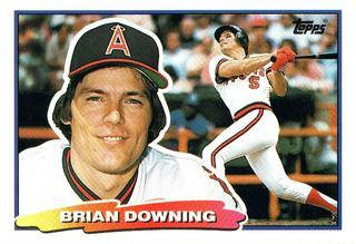 Brian Jay Downing