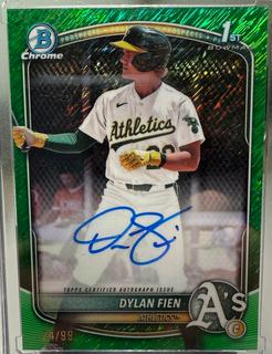 Dylan Fien