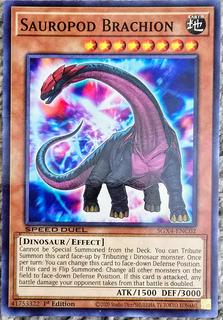 Sauropod Brachion SGX4-ENC02
