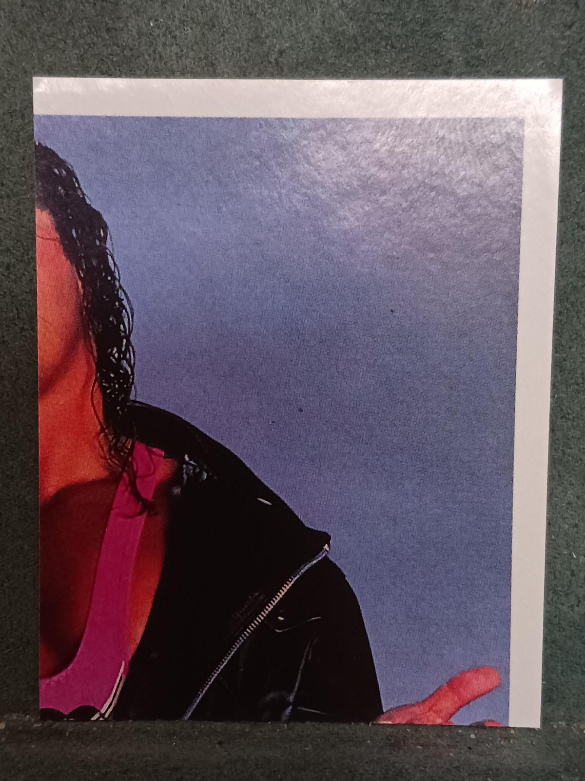 Bret Hart #40 Wrestling Cards 1992 Merlin WWF Stickers