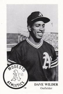 Dave Wilder