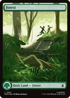 Forest