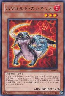 Evoltile Casinerio ORCS-JP026