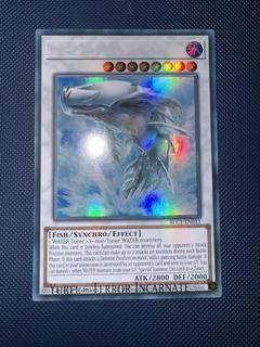 White Aura Whale BLC1-EN011