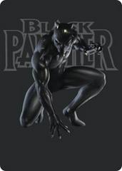Black Panther, Hope Enduring #27
