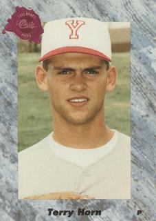 Terry Horn