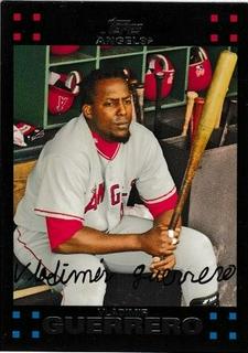 Vladimir Guerrero