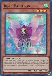 Rose Papillon MP24-EN250