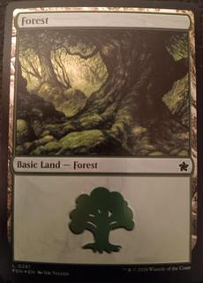 Forest