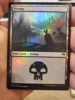 Swamp