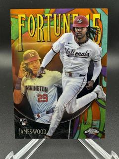 James Wood
