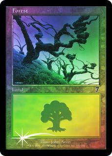 Forest